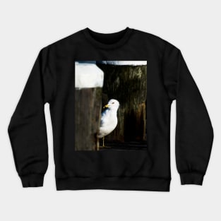 Coy Gull Crewneck Sweatshirt